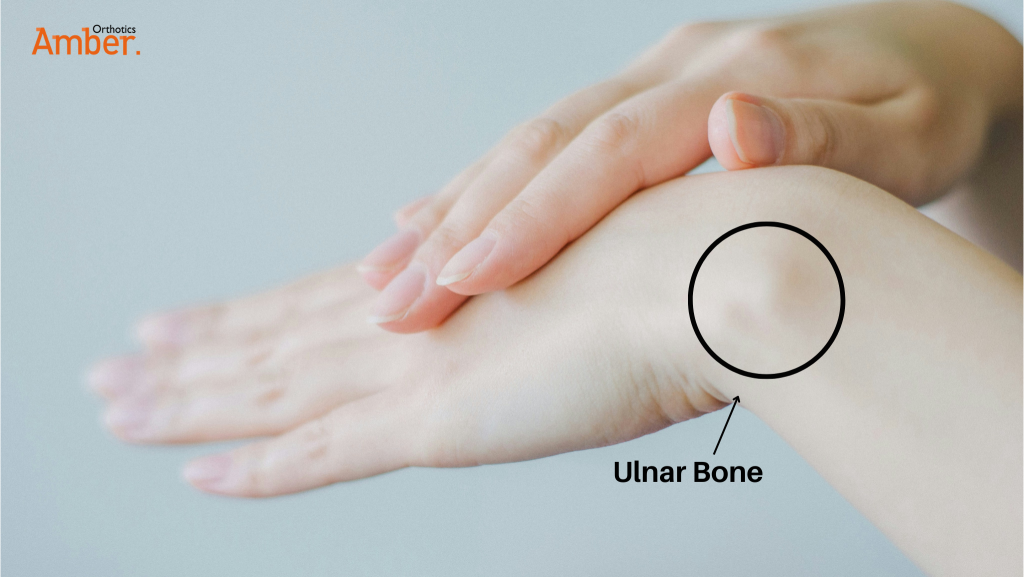 Ulnar Bone on the wrist